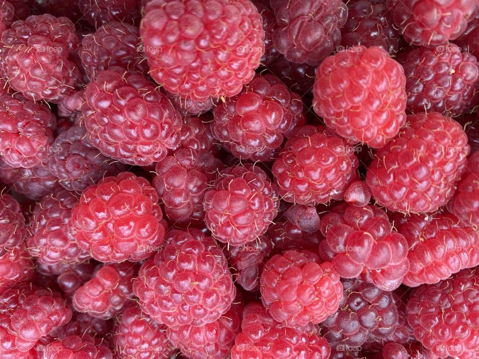 Delicious homegrown raspberries