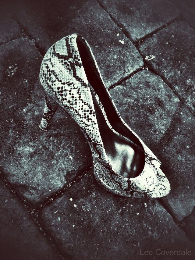 New Shoe