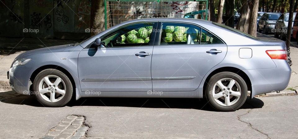 The effect is as if the car is filled with watermelons.