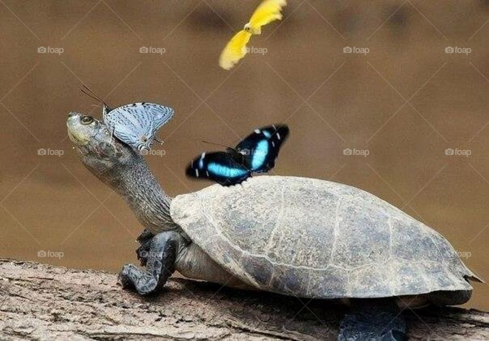 Жизнь удалась