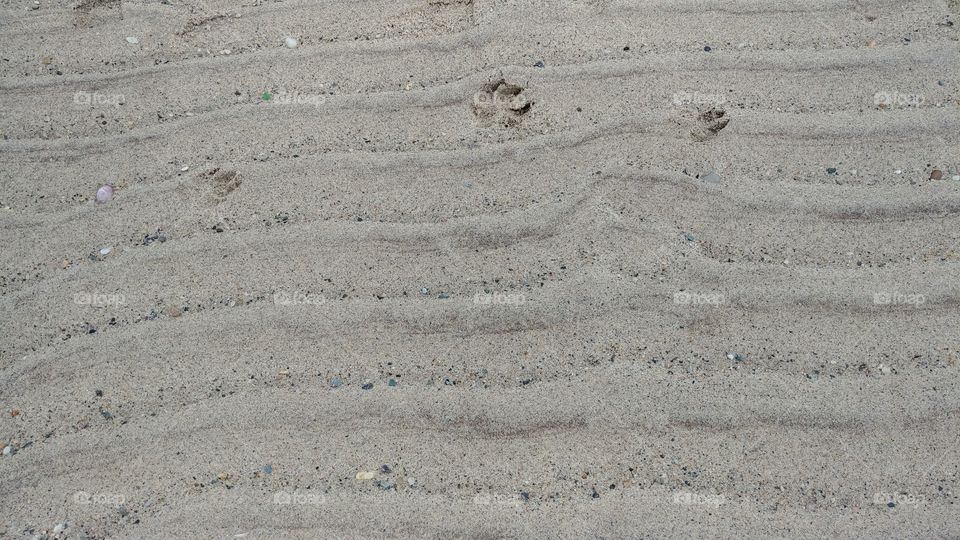 Sand