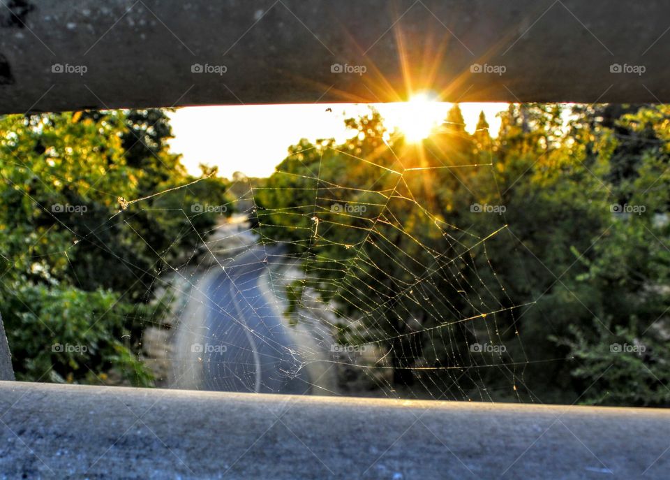 Nature, Water, Landscape, Light, Outdoors