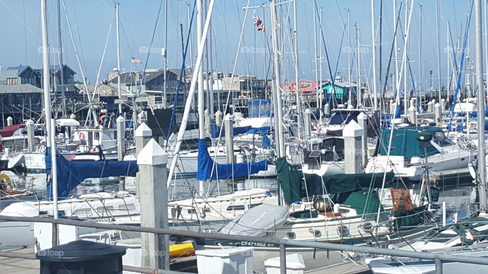 Monterey Marina