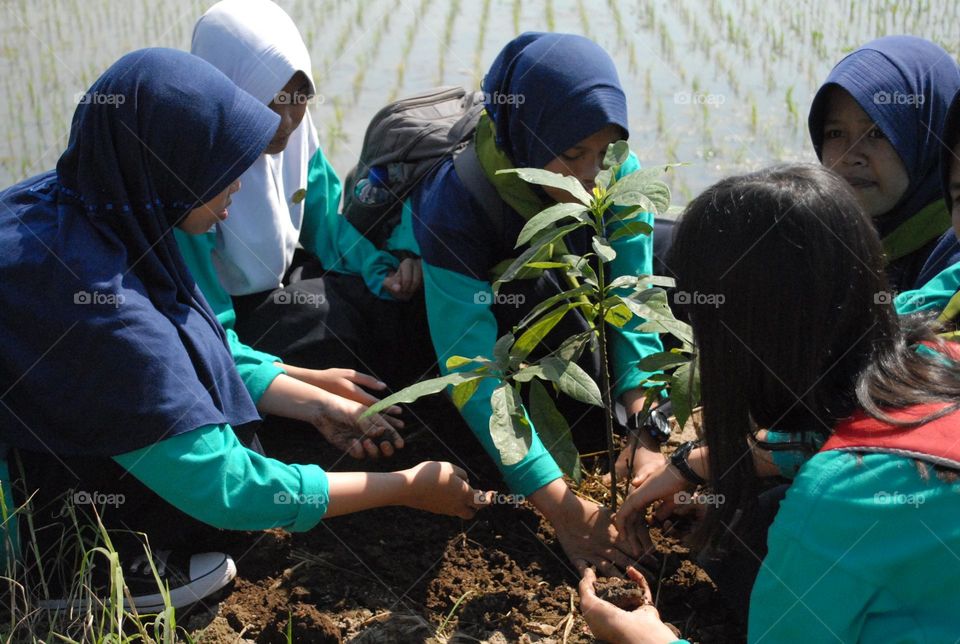 children planting tree