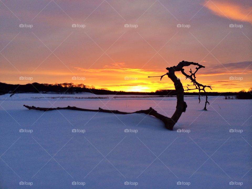 Wonderland of snow