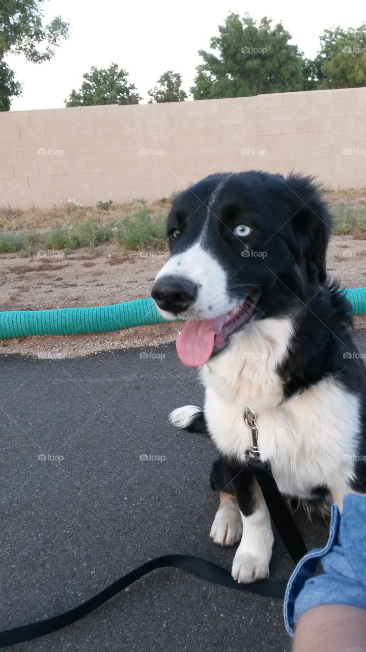 A Walk Down Memory Lane.