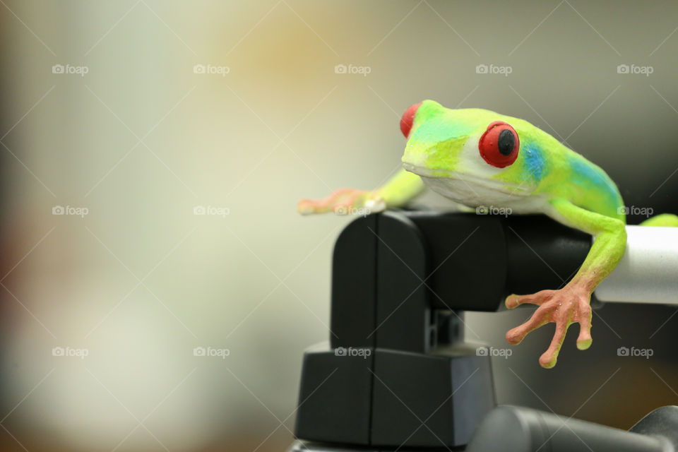 Simulated identical copy of a little frog amphibian in green color and red eyes. 