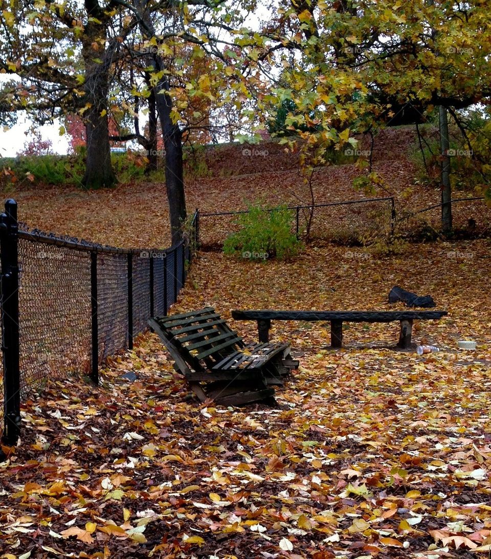 park bench