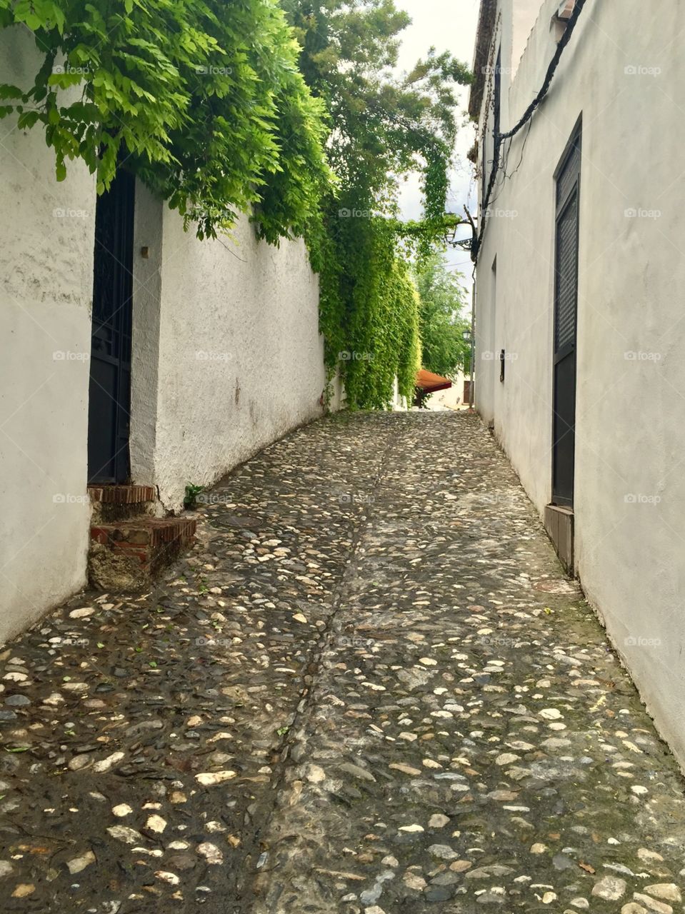 Granada Backstreet