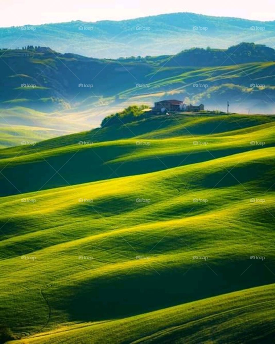 green grassy hill