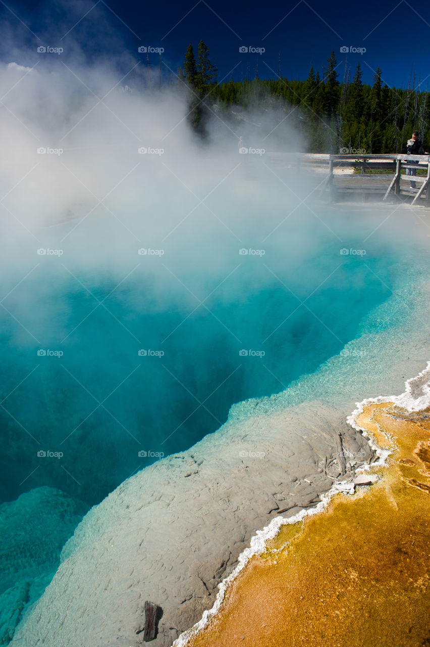 Yellowstone thermal springs