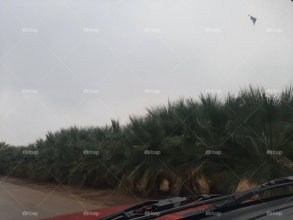 Please help me, I am very poor, I need your support and God is in need