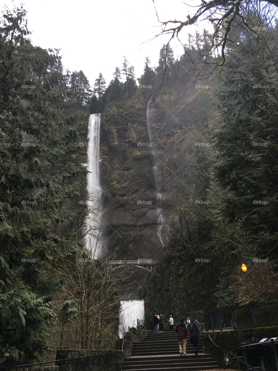 Portlands Waterfall