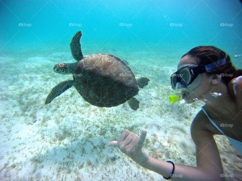 Turtle selfie 