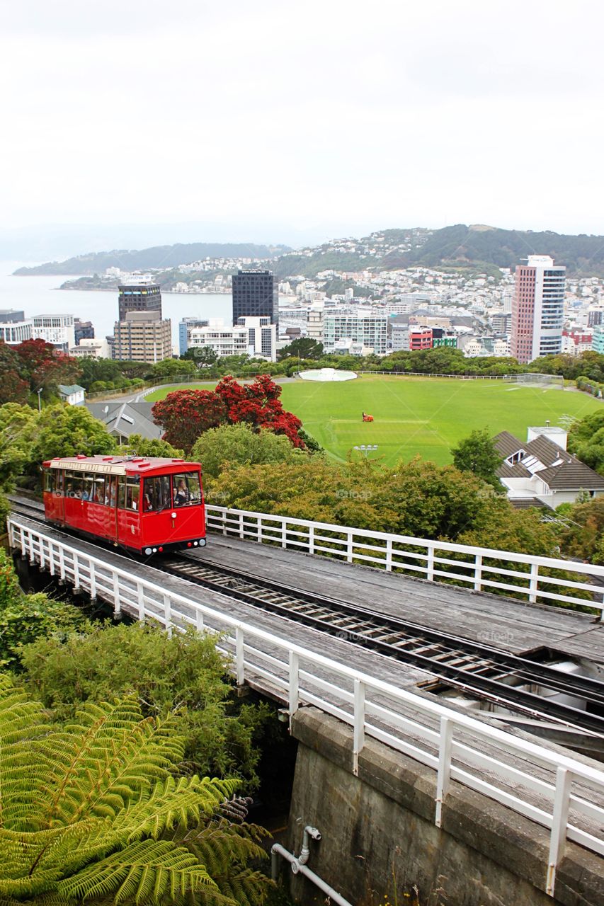 City trolley 