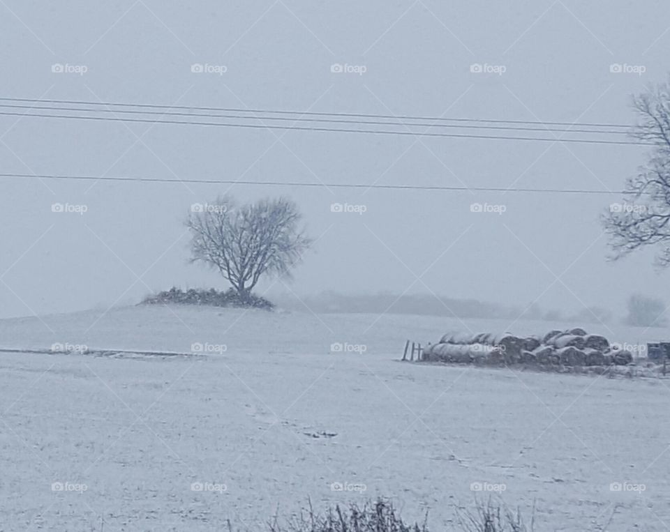 family farm cemetery in winter