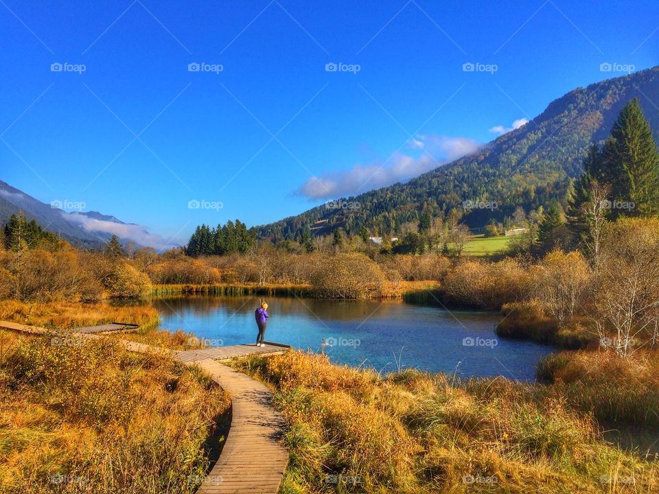 Beautiful rural landscape 