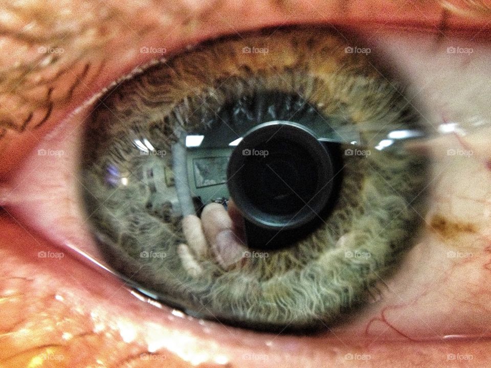 Closeup of a blue eyeball