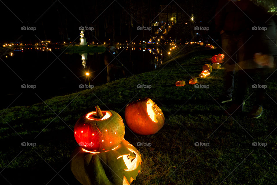 pumpkins near the water