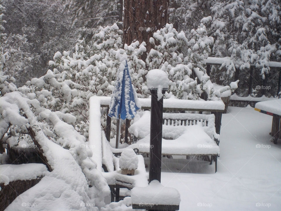 mountain trees christmas storm by emmanuelgr