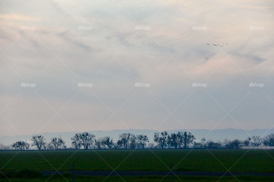 Dramatic Sky. Landscape 