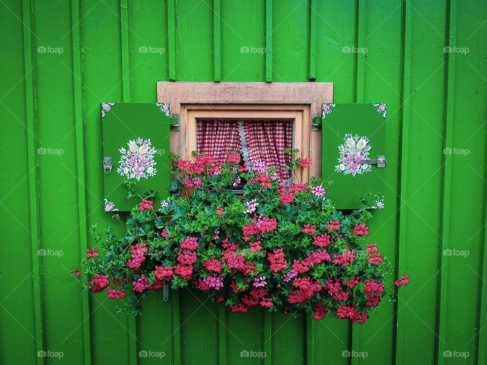 A vibrant green window adorned with a lovely pot of flowers.