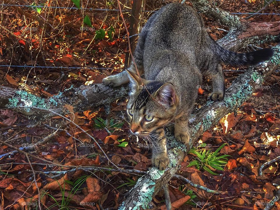 Uh... what do I do??