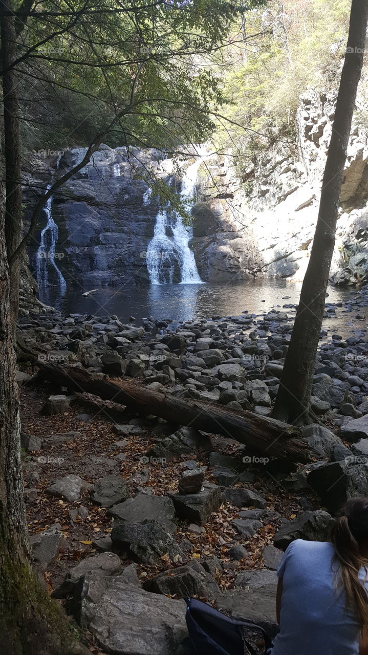 Laurel Falls