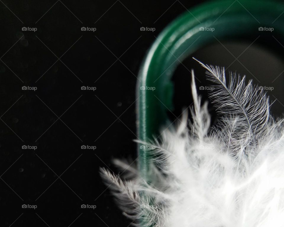 white soft fluffy feathers