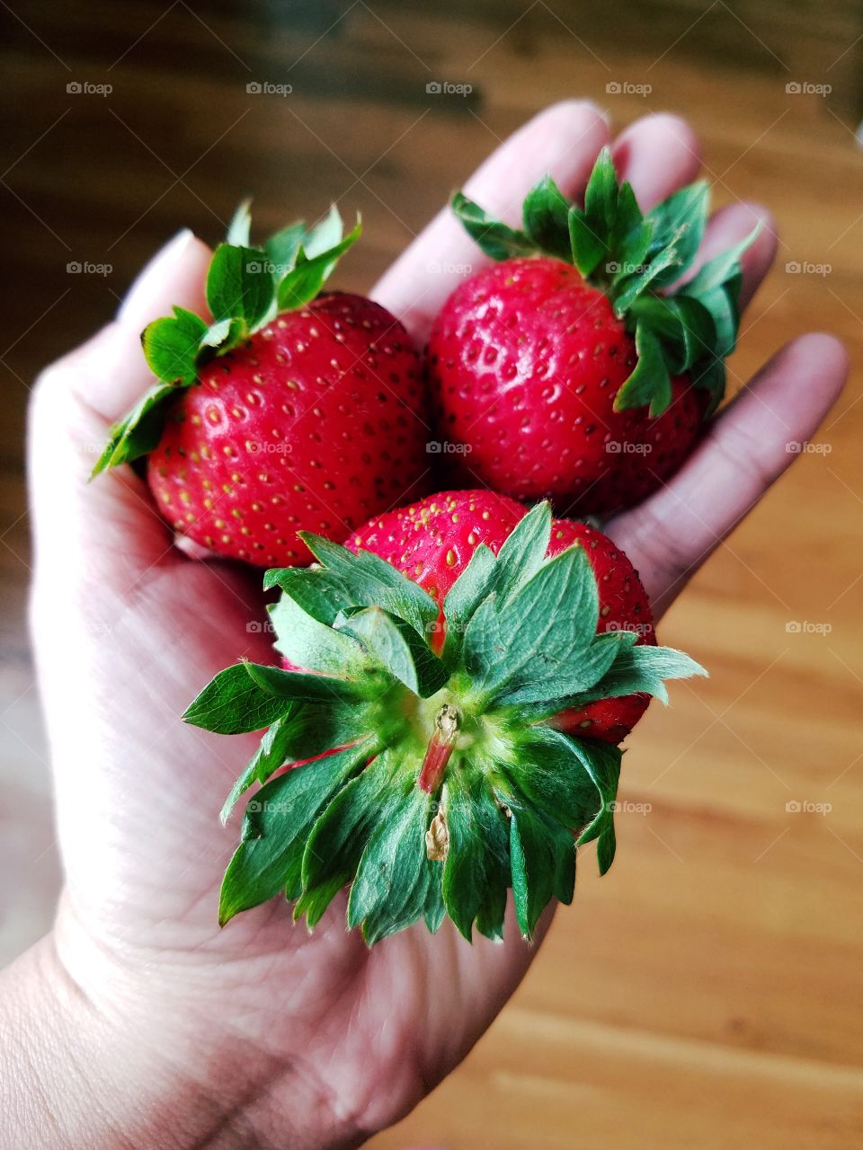 Close-up of person hand holding strawberries