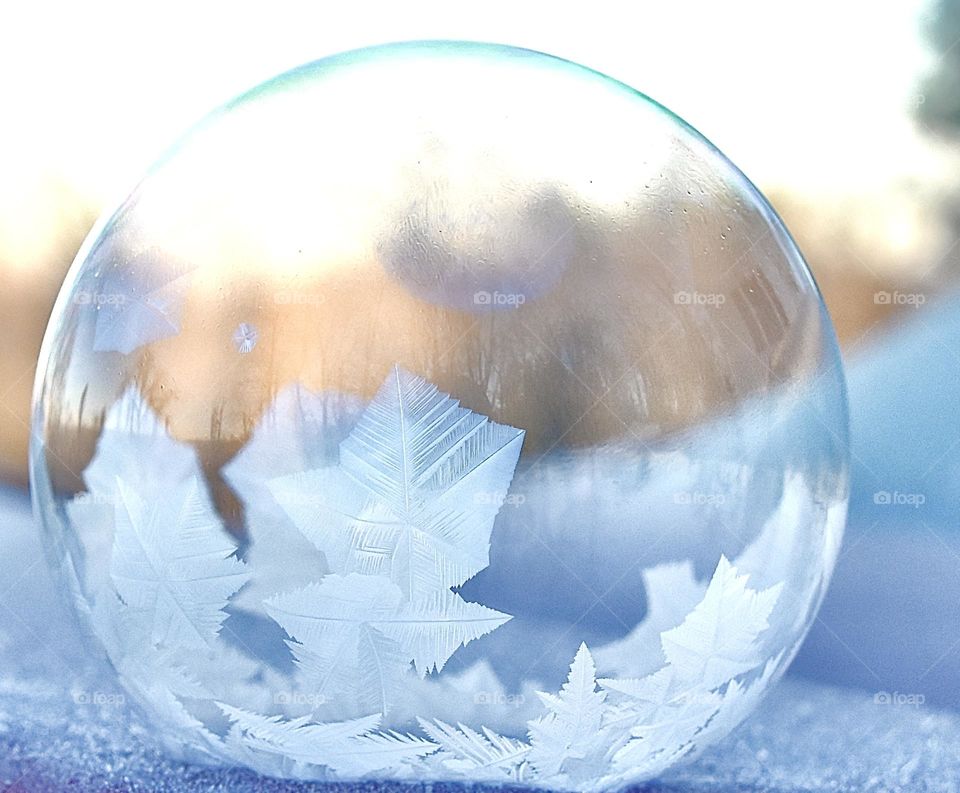 Frozen bubble