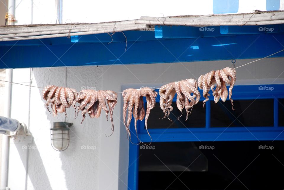 Octopus drying. Greece. 