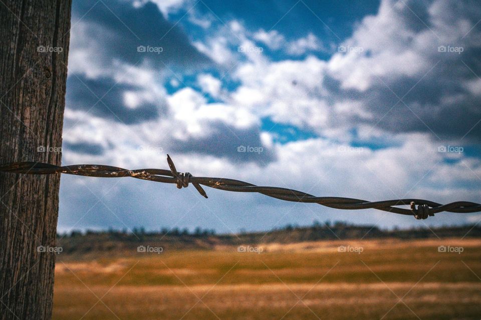 Barbed wire is the only focus