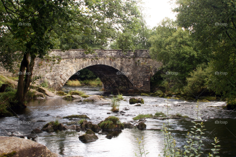 water river bridge stream by cheesepuff5000