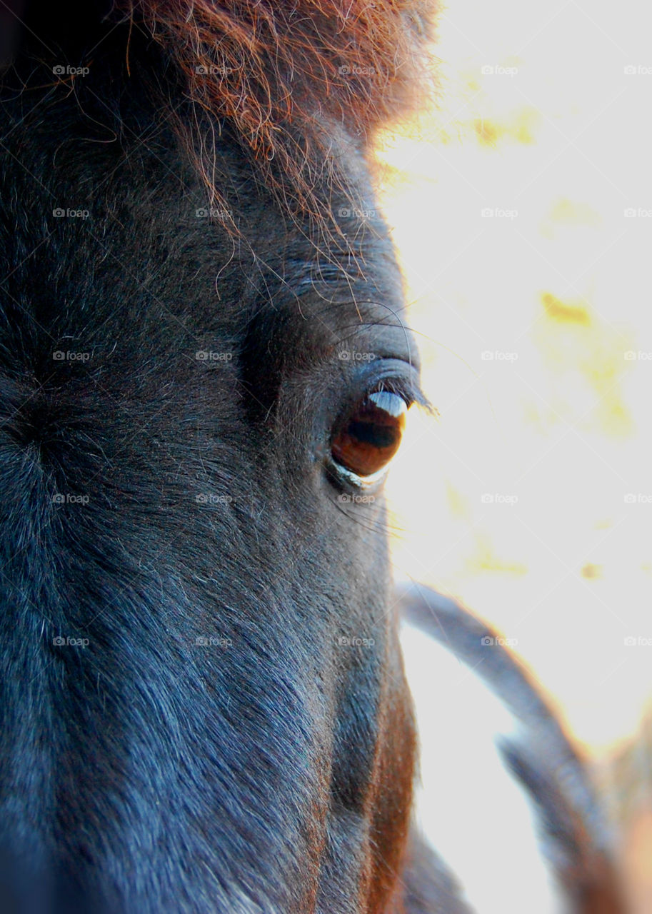 What's in my view...