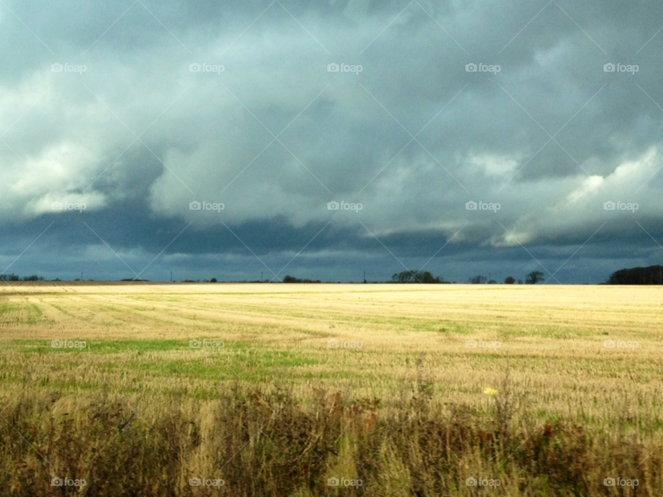 field weather harvest odla by cabday