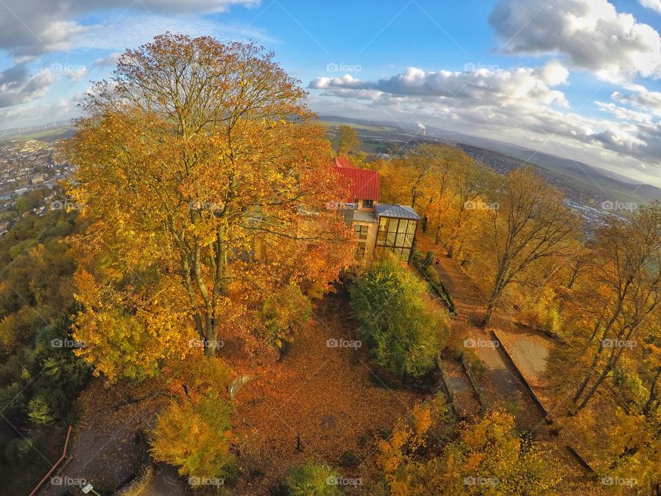 Colourful autumn landscape with trees, taken from above 