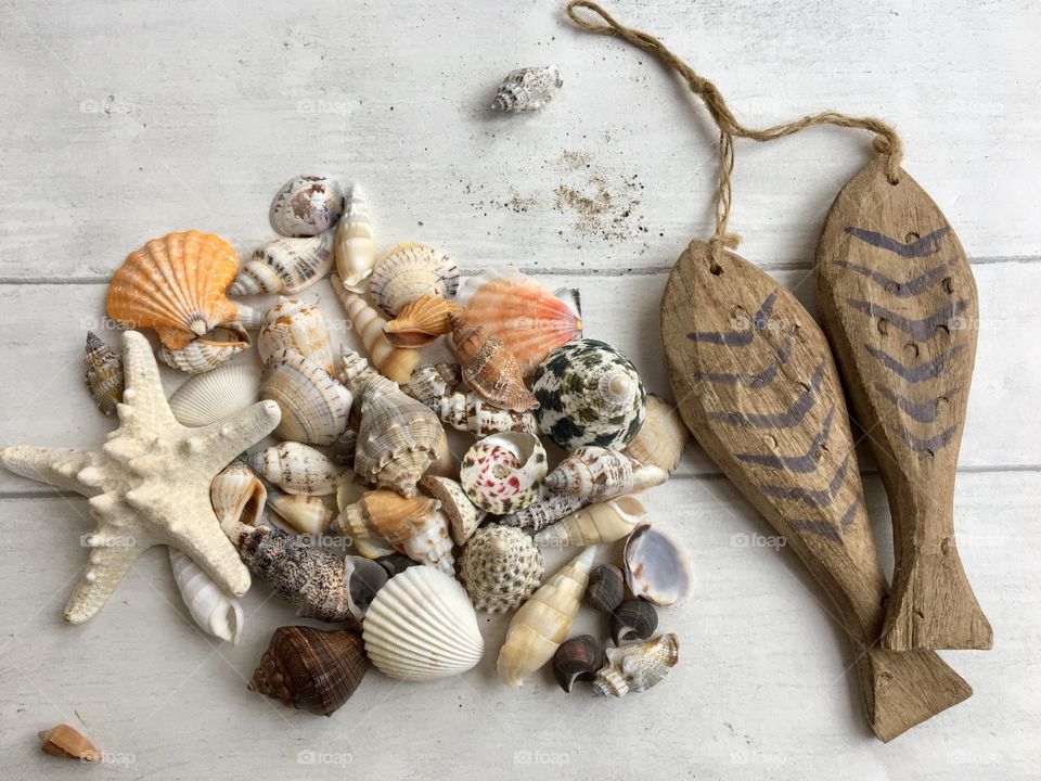 Variety of seashells with wooden fish