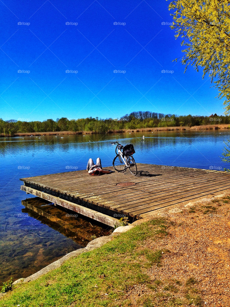 bicycle spring girl summer by chokulot
