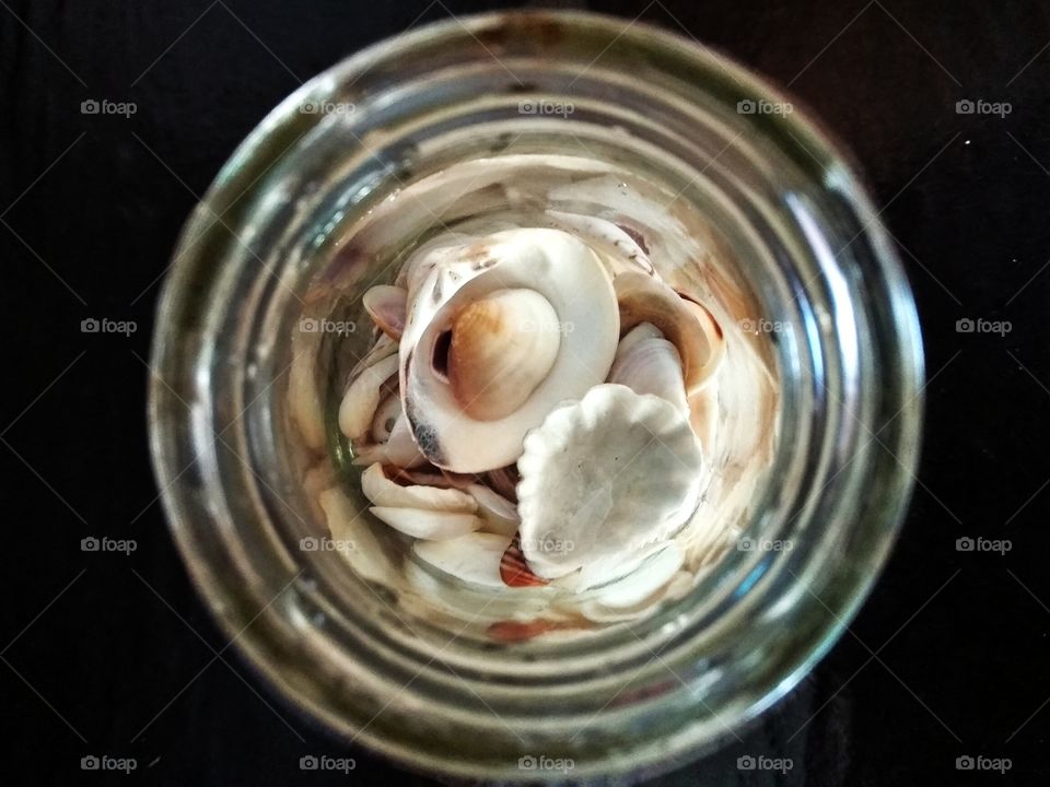 Sea shells in a container