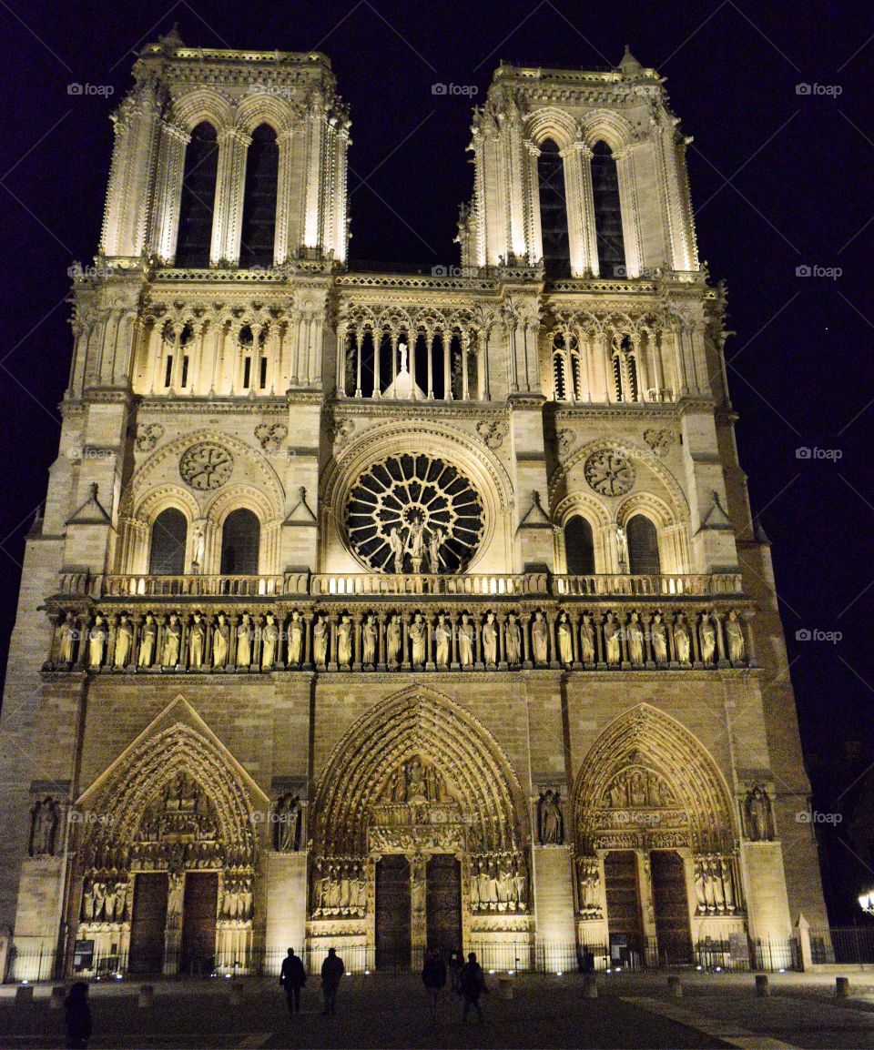 The Notre Dame at night.
