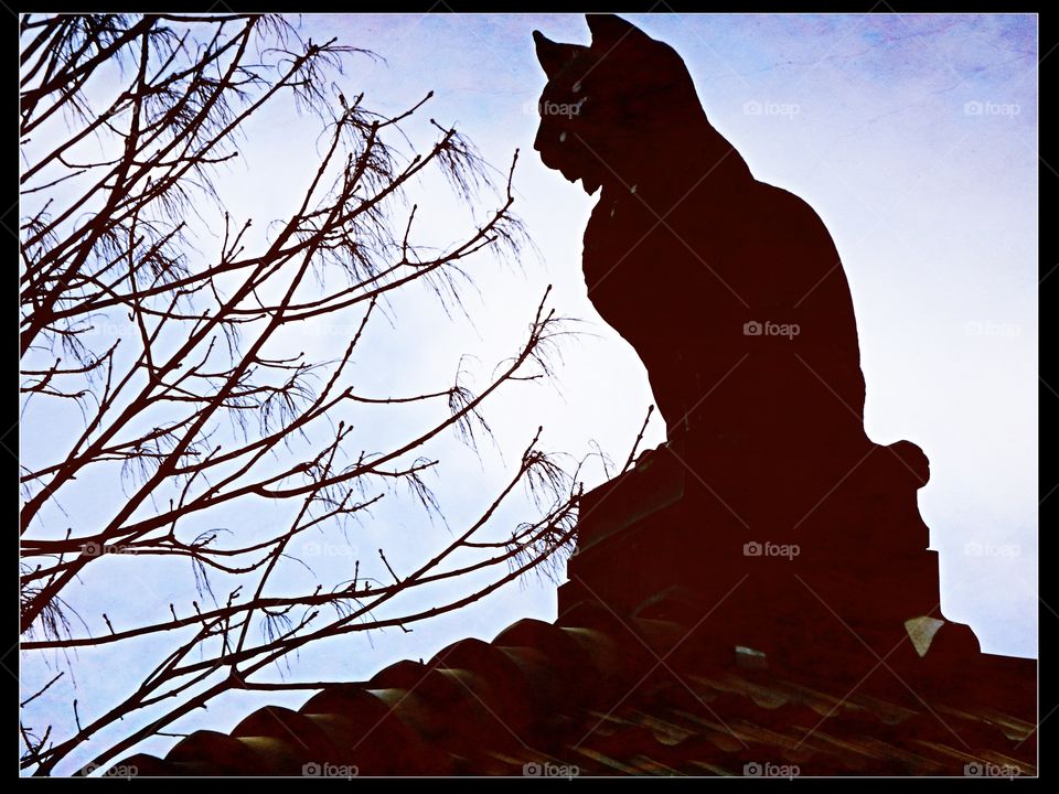 Cat statue on top of the big cats building at the National Zoo DC