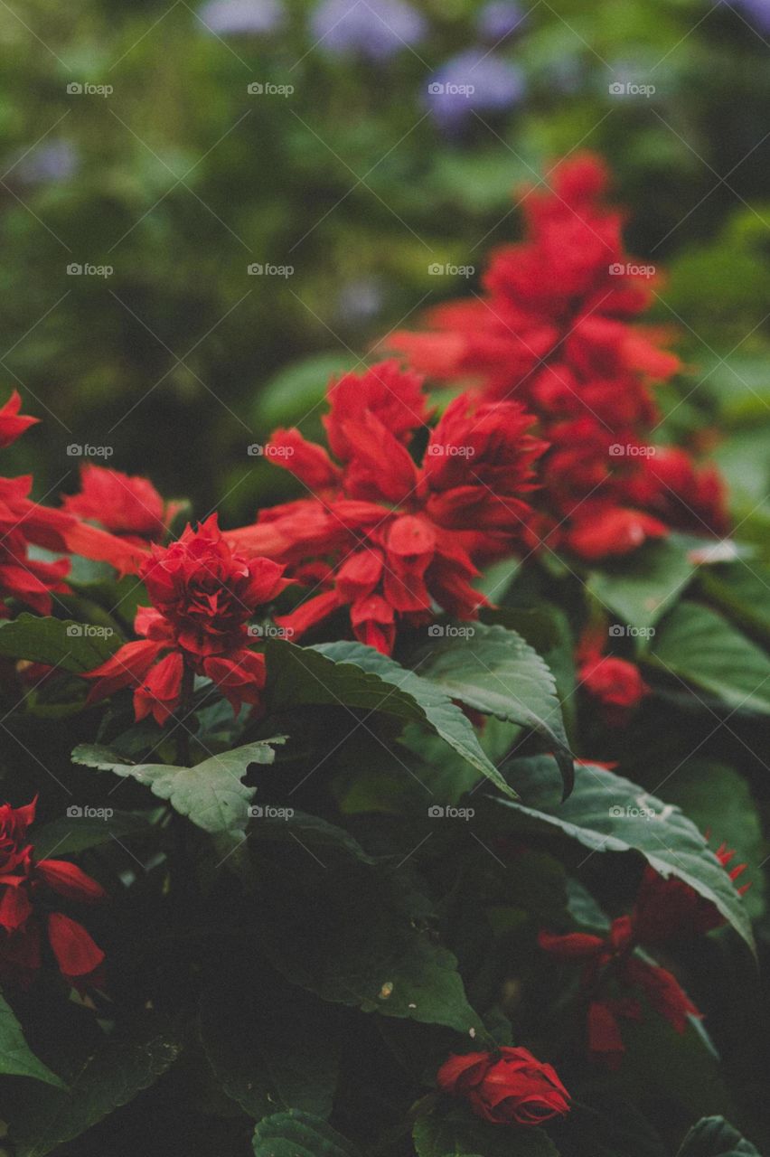 Naturel beauty place