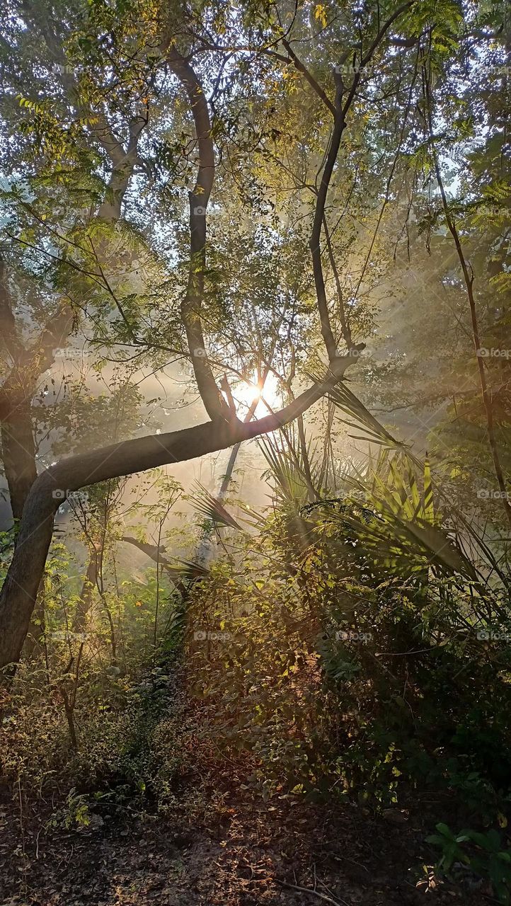 Nature is the best healing thing. IG:@life_blues_into_creation.