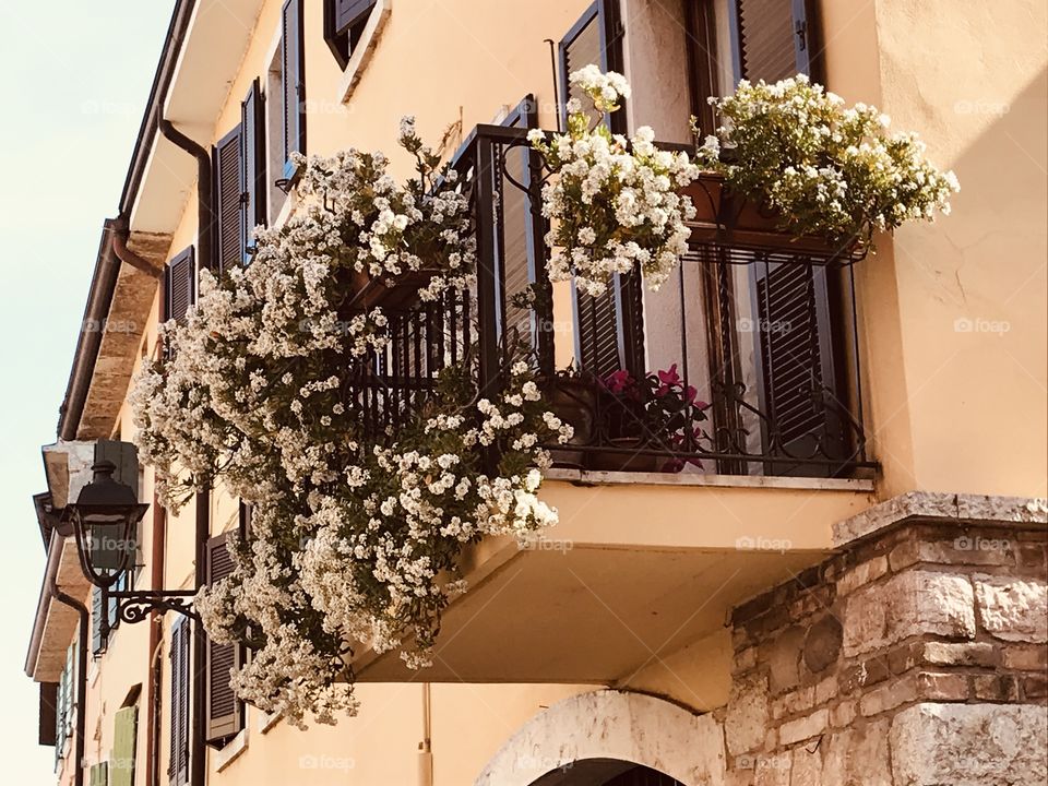 First spring flowers on the balconies