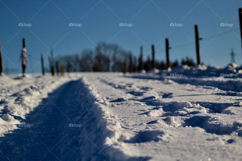 Snowy Trail 