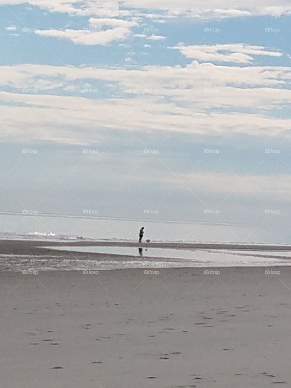 man and dog on the beach