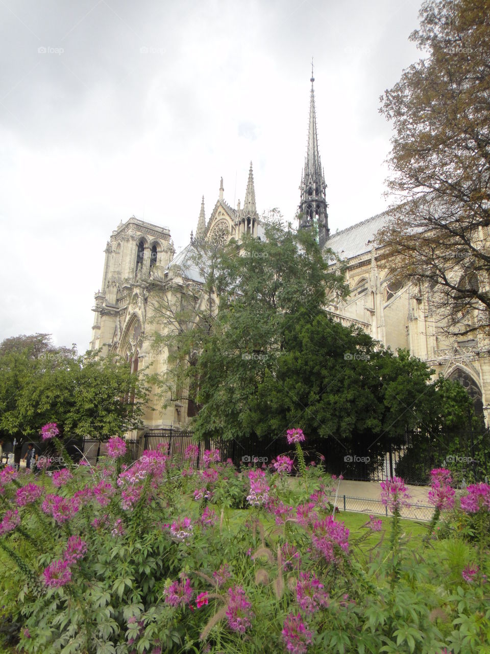 Notre Dame de Paris