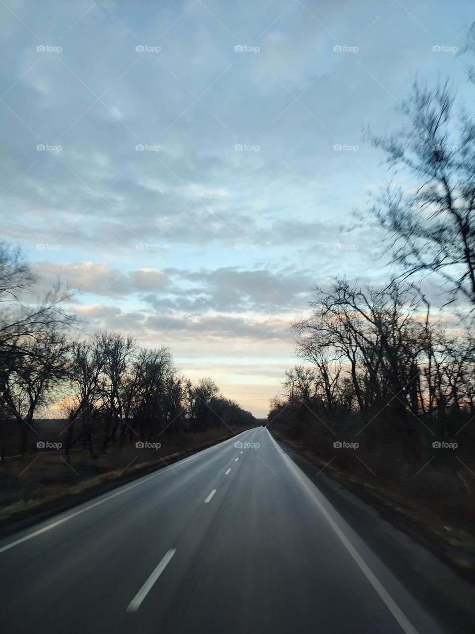 Road at sunset