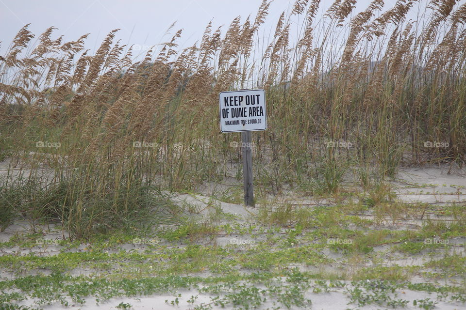 keep out of dune area